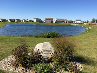 Sawgrass lake view