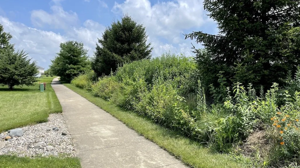 Greenbelt Buffer Project along Interstate